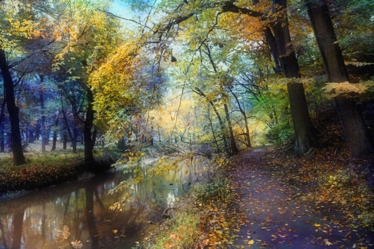 Picture of AUTUMN WALK