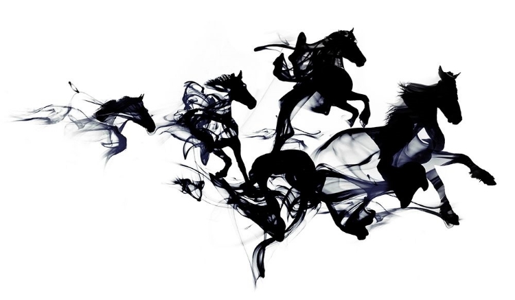 Picture of BLACK HORSES