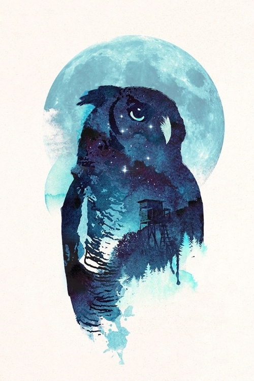 Picture of MIDNIGHT OWL