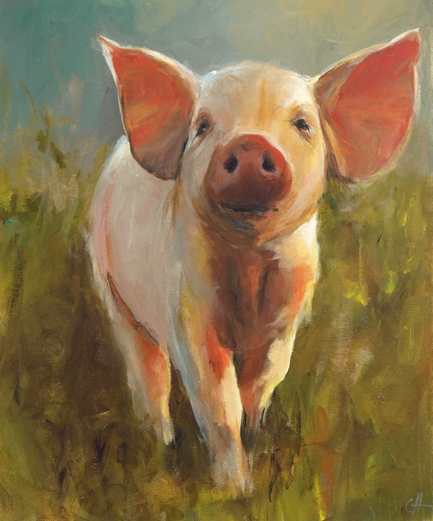 Picture of MORNING PIG