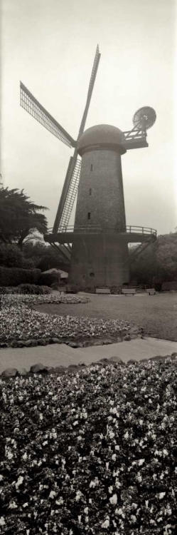 Picture of GODEN GATE PARK PANO - 3