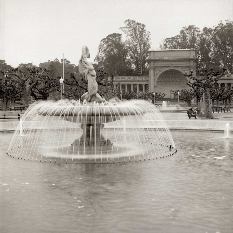 Picture of GOLDEN GATE PARK - 6