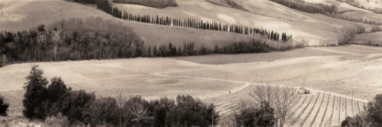 Picture of SAN GIMIGNANO ITALIA