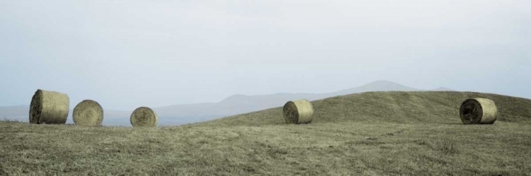 Picture of HAYSTACKS TUSCANY - 1