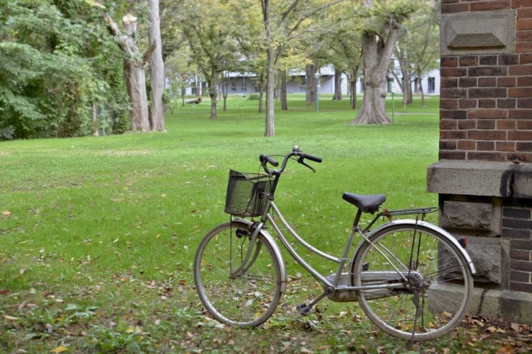 Picture of JAPAN BICYCLE - 14