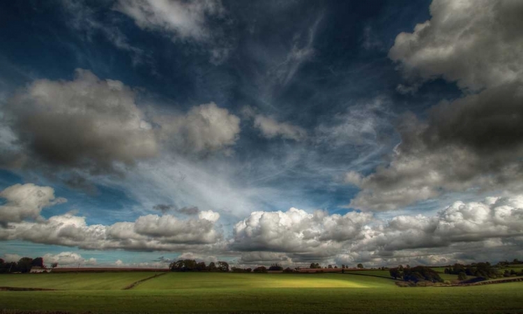 Picture of LOVE CLOUDS