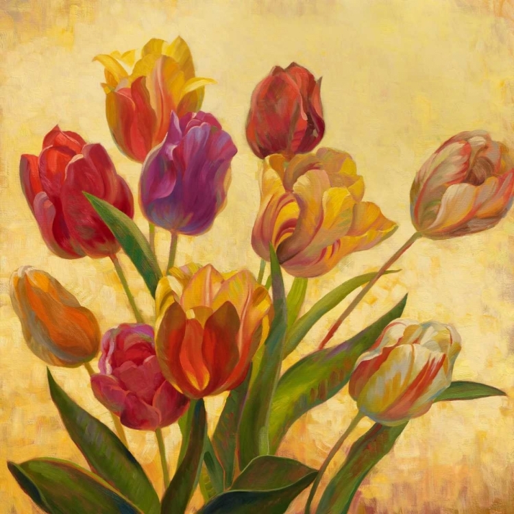 Picture of TULIP BOUQUET