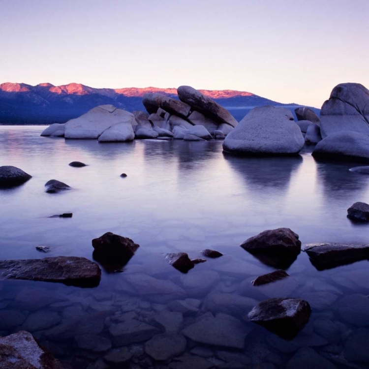 Picture of PURPLE ROCKS