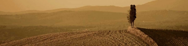 Picture of TOSCANA LANDSCAPE