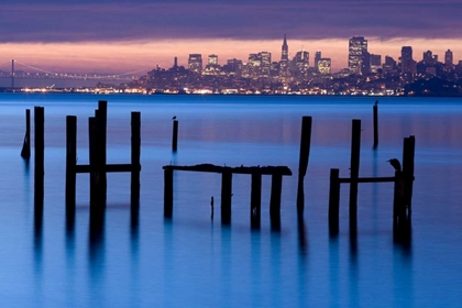 Picture of BAY PILINGS  SAUSALITO