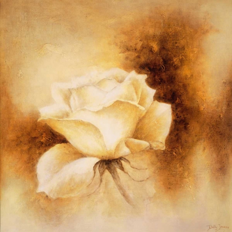 Picture of WHITE ROSE II