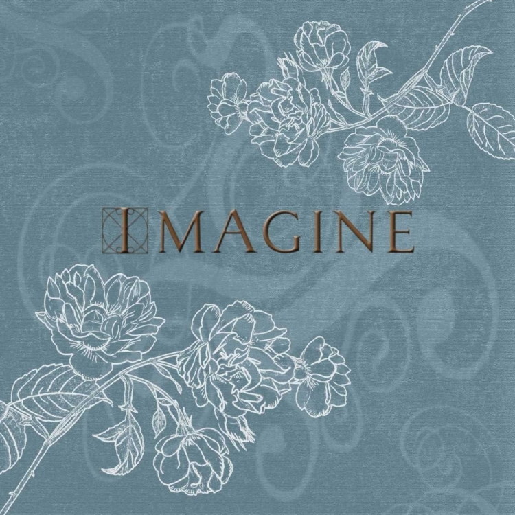 Picture of IMAGINE