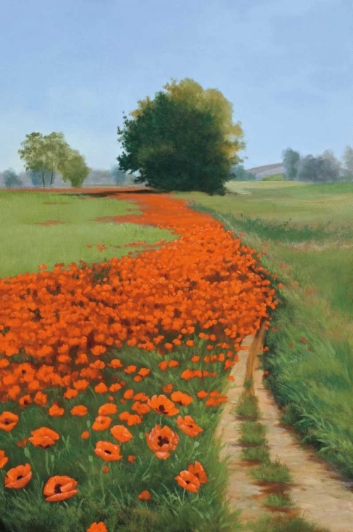 Picture of POPPY FIELD