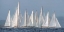 Picture of SAILING TEAM