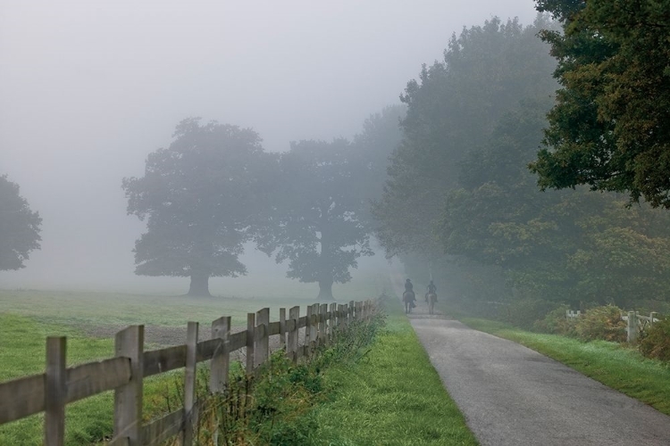 Picture of COUNTRY RIDE