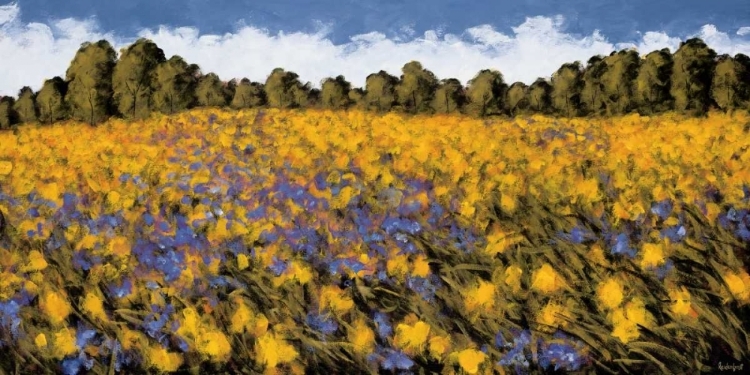 Picture of FIELDS OF GOLD