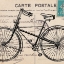 Picture of VELOCIPEDE