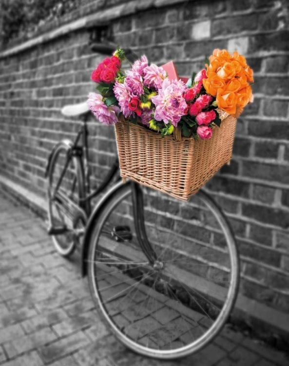 Picture of BASKET OF FLOWERS II