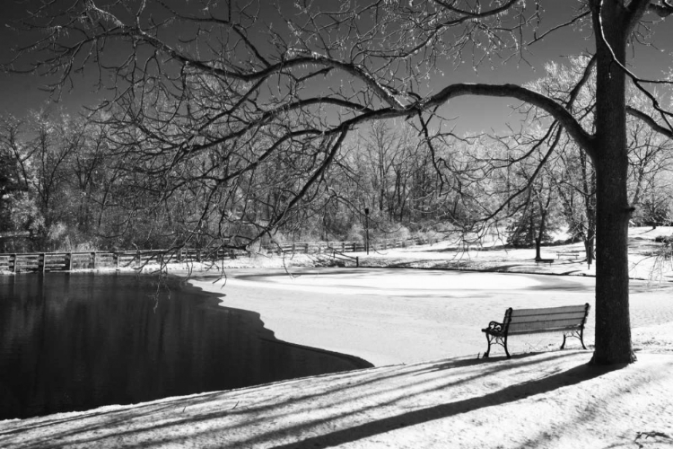 Picture of HERITAGE POND IN WINTER