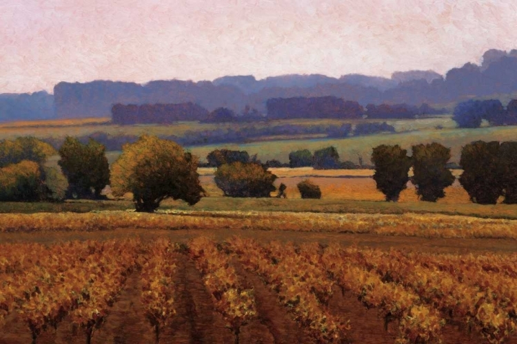 Picture of TERROIR