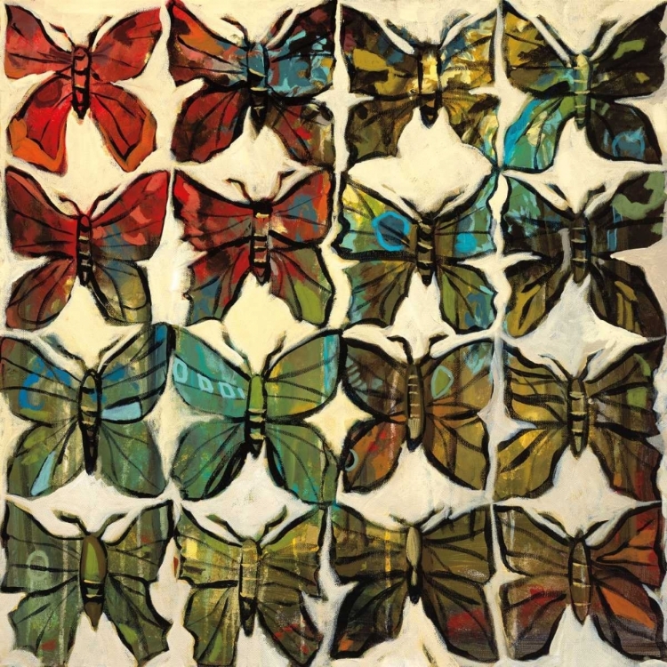 Picture of BUTTERFLIES