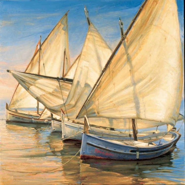 Picture of WINDWARD LATIN SAILS