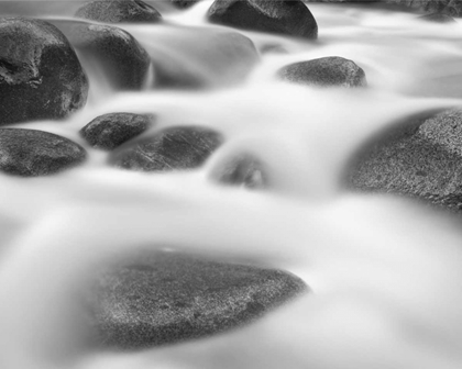 Picture of MISTY ROCKS II