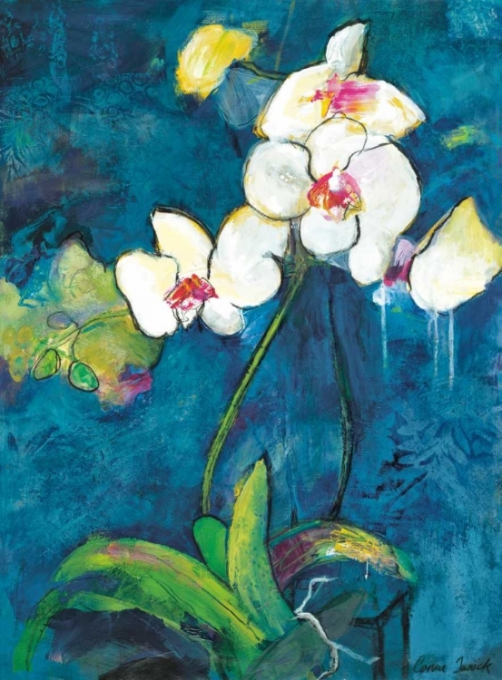 Picture of PHALAENOPSIS II