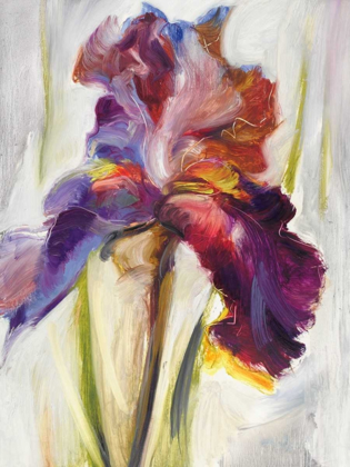 Picture of COLORS OF IRIS I