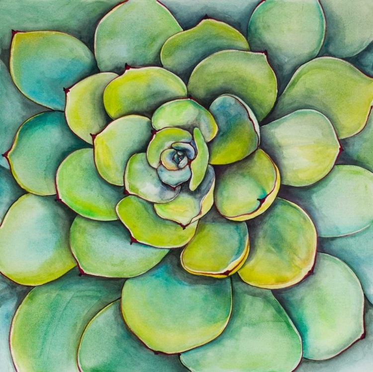 Picture of WATERCOLOR SUCCULENT PLANT