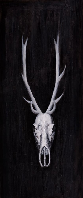 Picture of DEER SKULL ON BLACK BACKGROUND