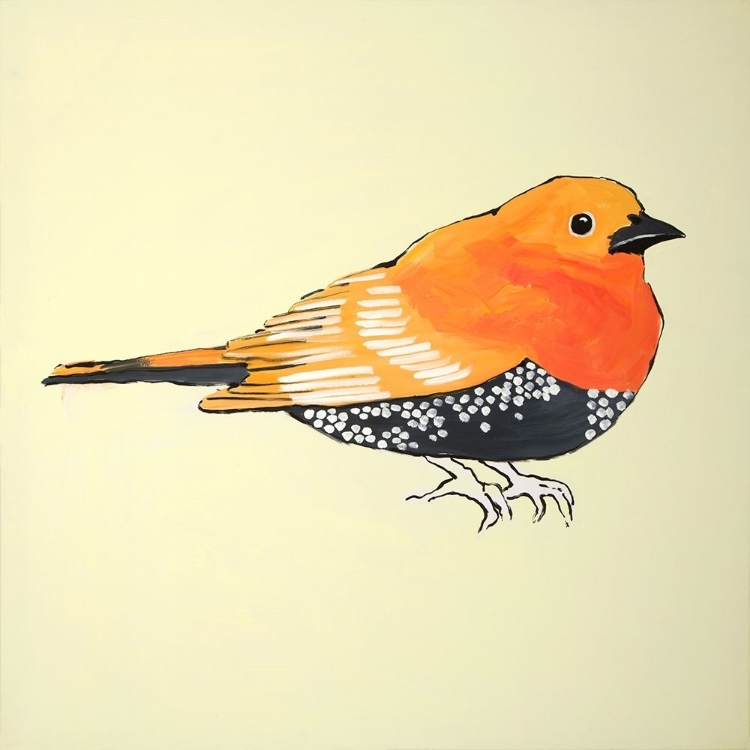 Picture of LITTLE ORANGE BIRD ILLUSTRATION