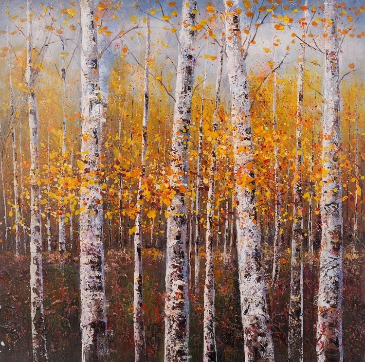 Picture of BIRCHES BY SUNNY DAY