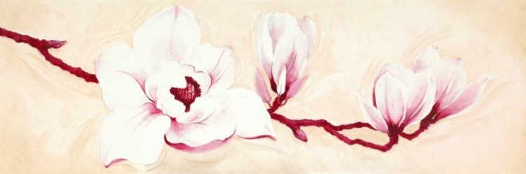 Picture of MAGNOLIAS I