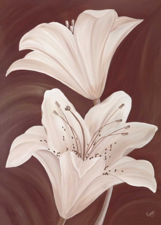 Picture of CHOCOLATE LILLIES