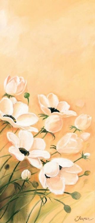 Picture of WHITE POPPIES 3-3