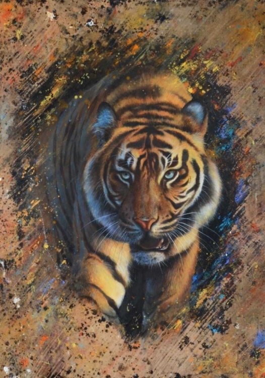 Picture of TIGER