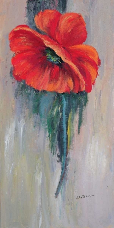 Picture of RED POPPY III