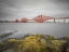 Picture of FORTH RAIL BRIDGE, SCOTLAND