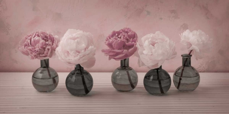 Picture of PEONIES IN GLASS BOTTLES