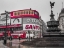 Picture of PICCADILLY CIRCUS, LONDON