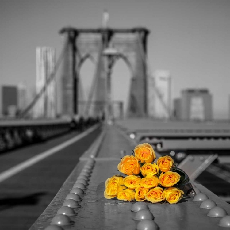 Picture of BUNCH OF ROSES ON BROOKLYN BRIDGE, NEW YORK