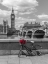 Picture of BUNCH OF ROSES ON A BICYCLE AGAISNT WESTMINSTER ABBY, LONDON, UK