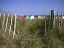 Picture of BEACH HUTS IN A ROW