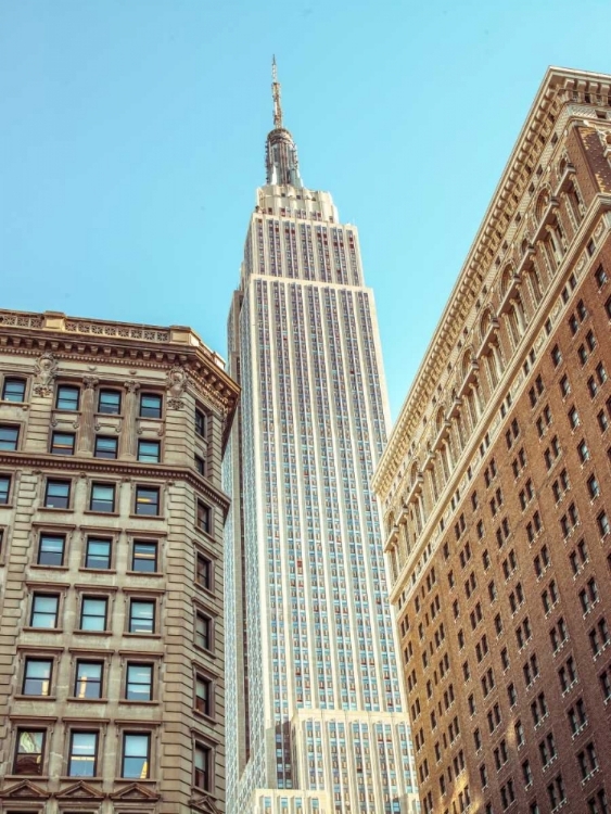 Picture of LOW ANGLE SHOT OF A EMPIRE STATE BUILDING - NEW YORK