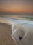 Picture of TRANQUIL BEACH AT DUSK