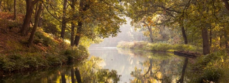 Picture of BASINGSTOKE CANAL IN COUNTRYSIDE, UK, FTBR-1828