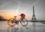 Picture of BICYCLE WITH A BASKET OF FLOWERS NEXT TO THE EIFFEL TOWER, PARIS, FRANCE