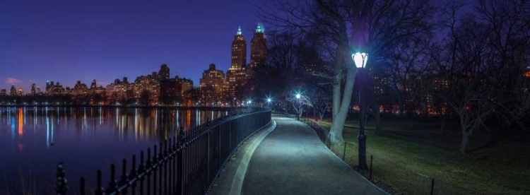 Picture of CENTRAL PARK IN EVENING, NEW YORK