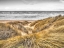 Picture of TRANQUIL BEACH WITH GRASS, BLACKPOOL, UK